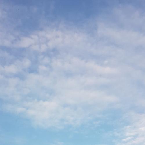 สมาชิกหมายเลข 5064080