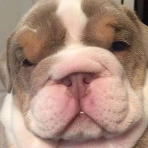 สมาชิกหมายเลข 5483595