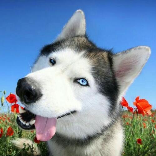 สมาชิกหมายเลข 5491007