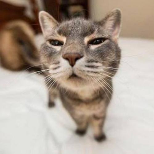 สมาชิกหมายเลข 6029173