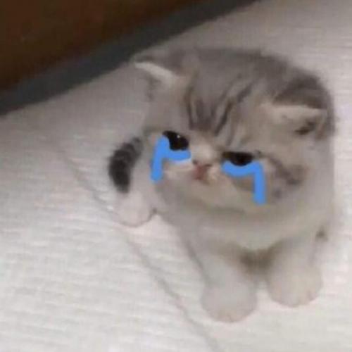 สมาชิกหมายเลข 6029176