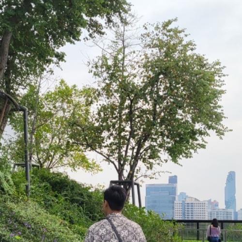 สมาชิกหมายเลข 5266000