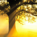 สมาชิกหมายเลข 3156971