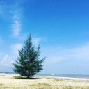 สมาชิกหมายเลข 4362347