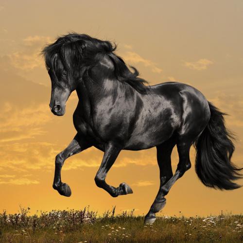 สมาชิกหมายเลข 2789286