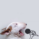 สมาชิกหมายเลข 4459265