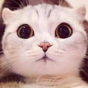 สมาชิกหมายเลข 4727499