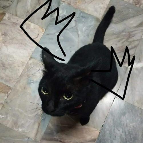 สมาชิกหมายเลข 5917747