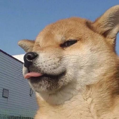 สมาชิกหมายเลข 6029246