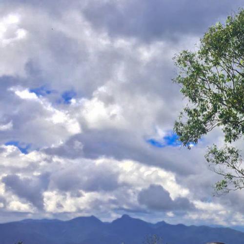 สมาชิกหมายเลข 6644697