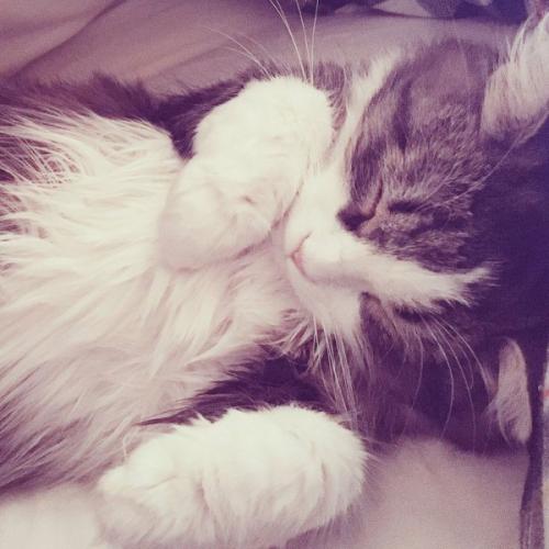 สมาชิกหมายเลข 8257010