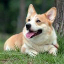 สมาชิกหมายเลข 3808367