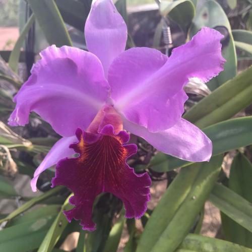 สมาชิกหมายเลข 4362817