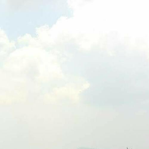 สมาชิกหมายเลข 3493411