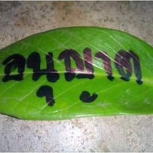 สมาชิกหมายเลข 4727667