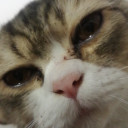 สมาชิกหมายเลข 5100775