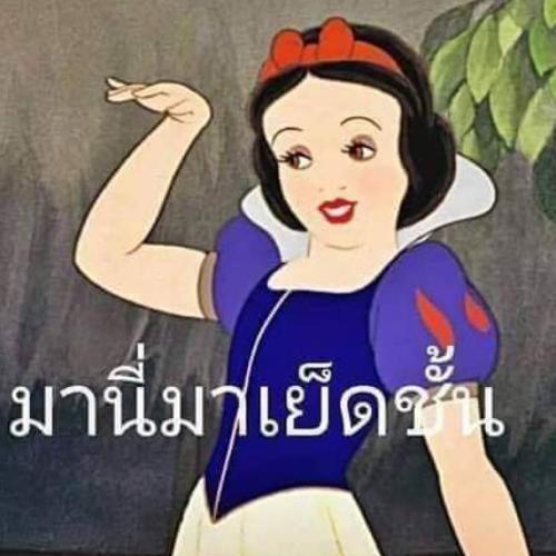 สมาชิกหมายเลข 5490806