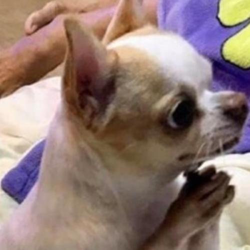 สมาชิกหมายเลข 5354138