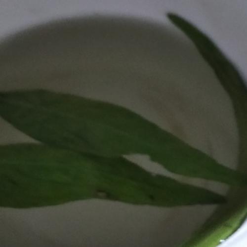 สมาชิกหมายเลข 2993638