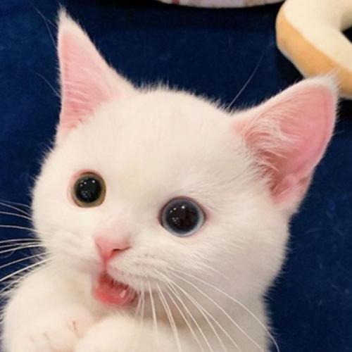 สมาชิกหมายเลข 5729924