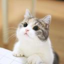 สมาชิกหมายเลข 3892196