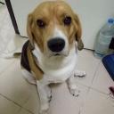 สมาชิกหมายเลข 4363193