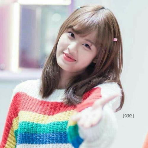 สมาชิกหมายเลข 4491430