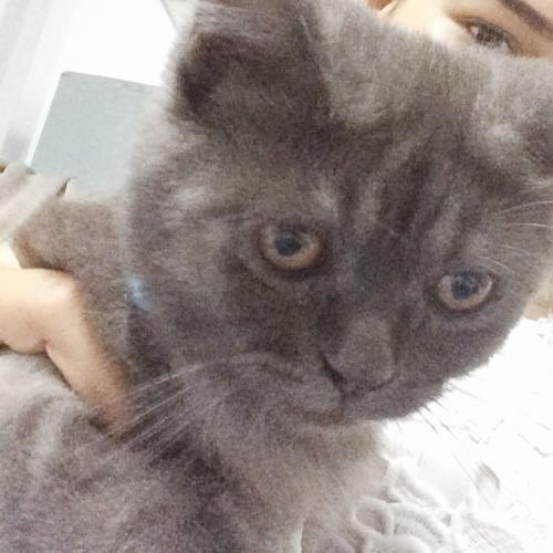 สมาชิกหมายเลข 4608956