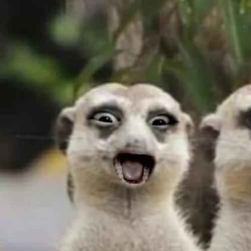 สมาชิกหมายเลข 4728123