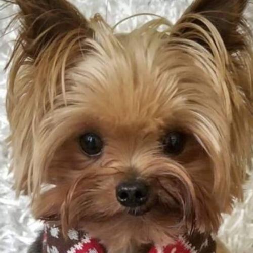 สมาชิกหมายเลข 2114372