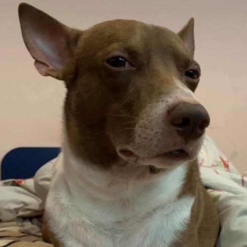 สมาชิกหมายเลข 3880917