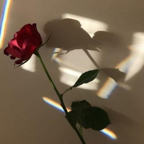 สมาชิกหมายเลข 5492459