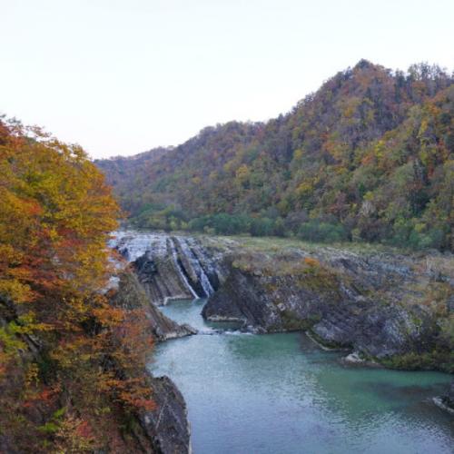 สมาชิกหมายเลข 2088911