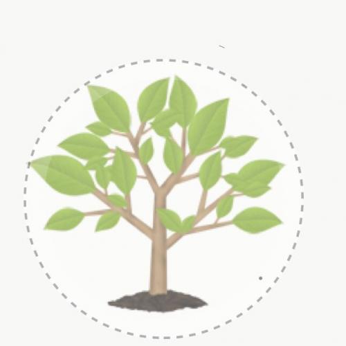 สมาชิกหมายเลข 4246106