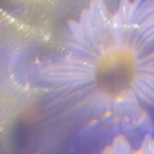 สมาชิกหมายเลข 6014266