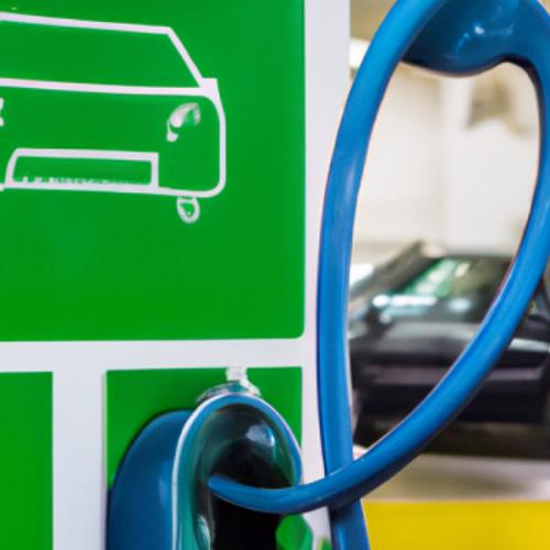 สมาชิกหมายเลข 7391040