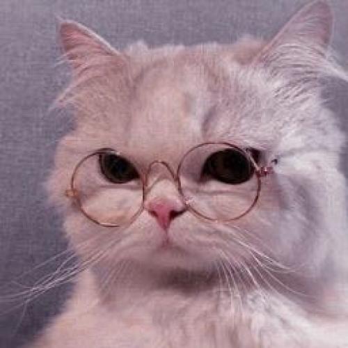 สมาชิกหมายเลข 7391463