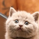 สมาชิกหมายเลข 3897692