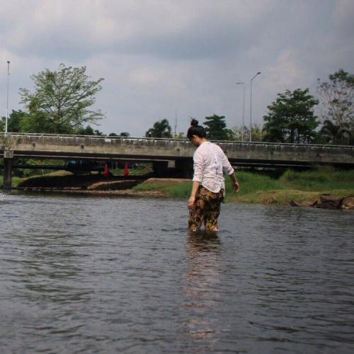 สมาชิกหมายเลข 5101542