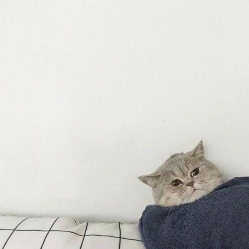 สมาชิกหมายเลข 5210070