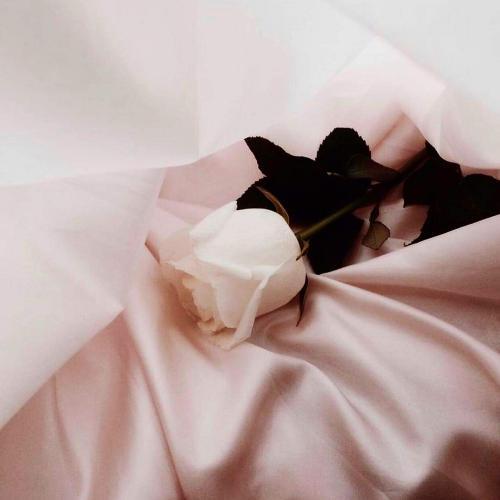 สมาชิกหมายเลข 5492379