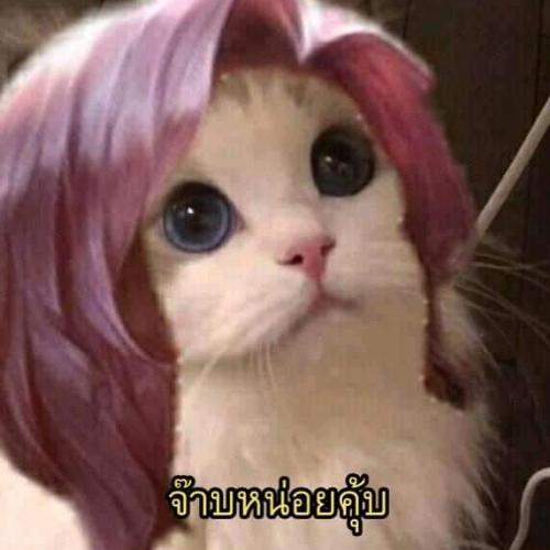 สมาชิกหมายเลข 4152897