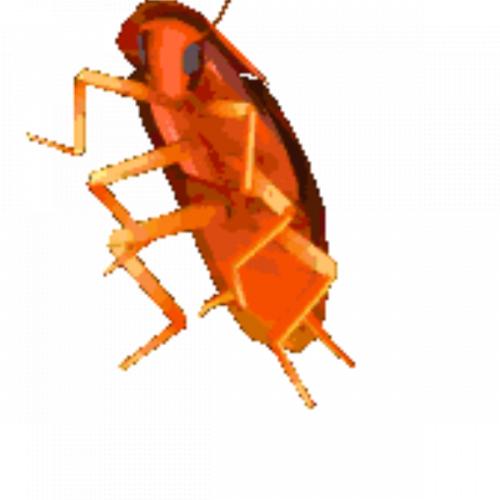 สมาชิกหมายเลข 5132814