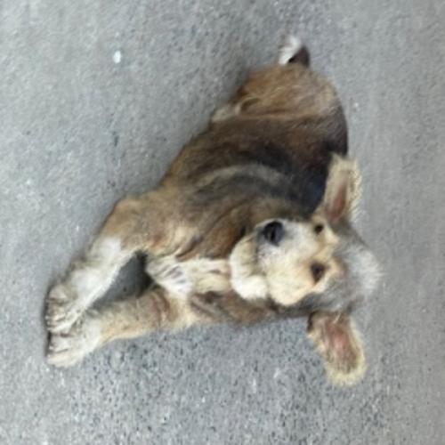 สมาชิกหมายเลข 6789916