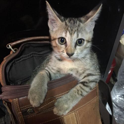 สมาชิกหมายเลข 3869352