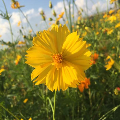 สมาชิกหมายเลข 4728682