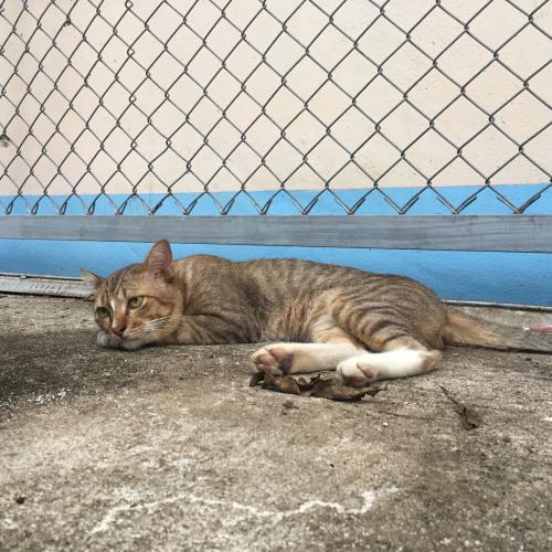 สมาชิกหมายเลข 4728801