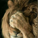 สมาชิกหมายเลข 4728843