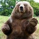 สมาชิกหมายเลข 5492976