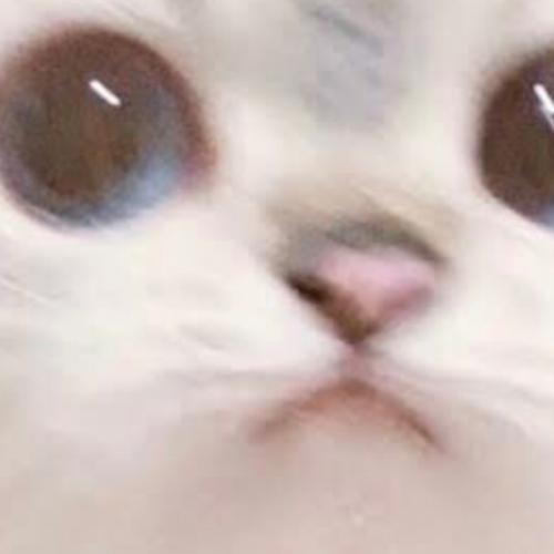 สมาชิกหมายเลข 6583103